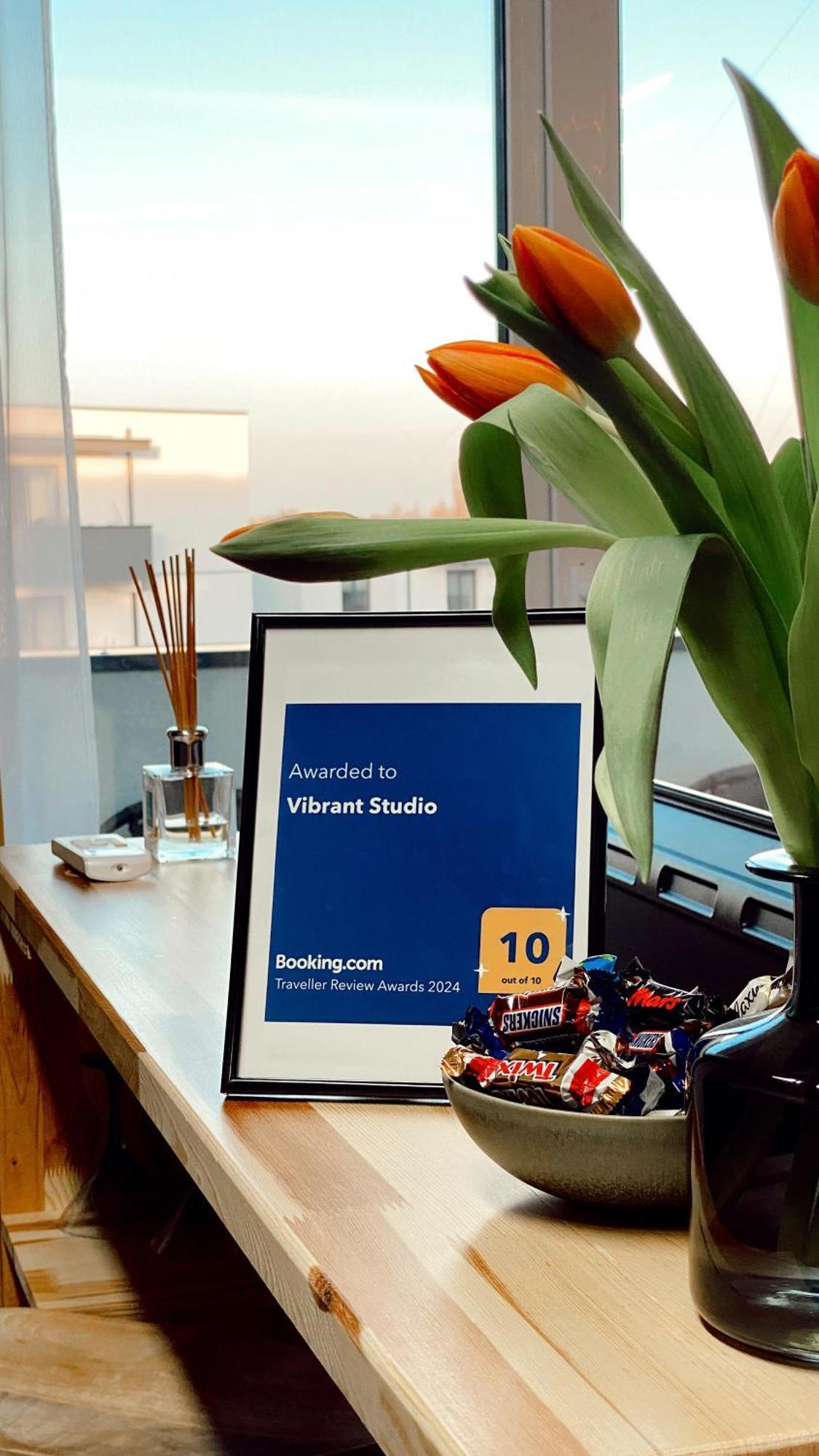 Vibrant Studio Τιμισοάρα Εξωτερικό φωτογραφία
